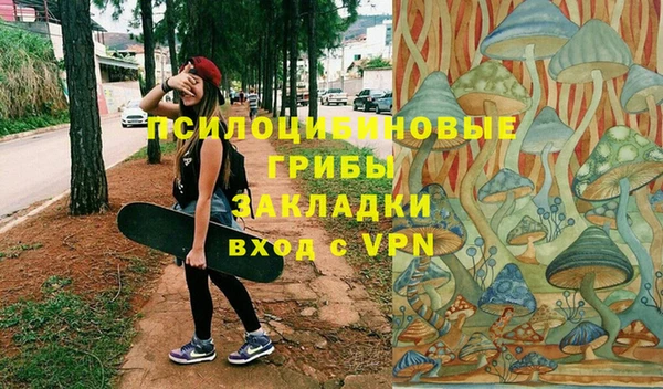 хмурый Медногорск