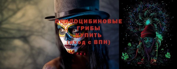 СК Мегион