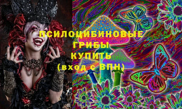 СК Мегион